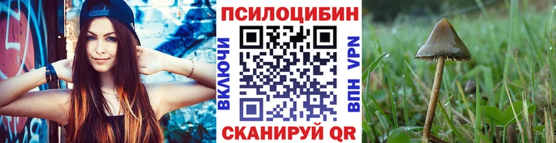 Псилоцибиновые грибы Cubensis  Улан-Удэ 